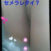 ヒメ日記 2026/02/12 17:08 投稿 中山 鶯うぐ