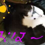 ヒメ日記 2026/02/23 15:56 投稿 中山 鶯うぐ