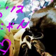 ヒメ日記 2026/03/04 12:00 投稿 中山 鶯うぐ