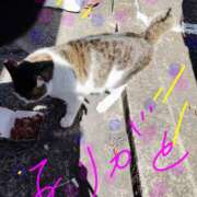 ヒメ日記 2026/03/16 12:06 投稿 中山 鶯うぐ