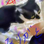 ヒメ日記 2026/04/21 13:46 投稿 中山 鶯うぐ