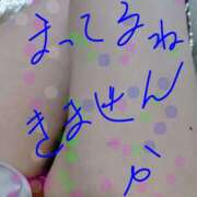 ヒメ日記 2026/05/12 11:30 投稿 中山 鶯うぐ