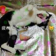 ヒメ日記 2026/05/26 13:10 投稿 中山 鶯うぐ