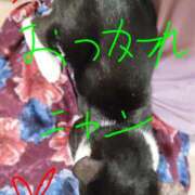 ヒメ日記 2026/08/09 15:28 投稿 中山 鶯うぐ