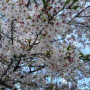 ヒメ日記 2026/04/06 15:54 投稿 あい ぐらどるえっぐ