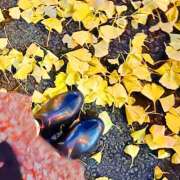 ヒメ日記 2024/12/08 15:56 投稿 じゅな 東京人妻セレブリティ（ユメオト）