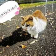 ヒメ日記 2025/01/08 00:08 投稿 じゅな 東京人妻セレブリティ（ユメオト）