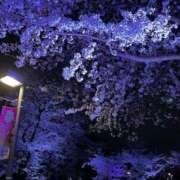 ヒメ日記 2025/03/30 22:45 投稿 じゅな 東京人妻セレブリティ（ユメオト）