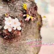 ヒメ日記 2025/04/05 22:08 投稿 じゅな 東京人妻セレブリティ（ユメオト）