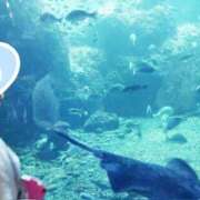 ヒメ日記 2025/08/11 21:02 投稿 じゅな 東京人妻セレブリティ（ユメオト）