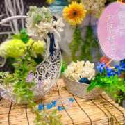 ヒメ日記 2025/09/16 17:54 投稿 じゅな 東京人妻セレブリティ（ユメオト）