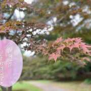 ヒメ日記 2025/11/03 14:56 投稿 じゅな 東京人妻セレブリティ（ユメオト）