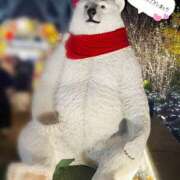 ヒメ日記 2025/12/07 15:40 投稿 じゅな 東京人妻セレブリティ（ユメオト）