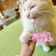 じゅな 遅くなりましたが… 東京人妻セレブリティ（ユメオト）