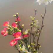 ヒメ日記 2026/02/28 11:27 投稿 じゅな 東京人妻セレブリティ（ユメオト）