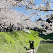 ヒメ日記 2026/04/08 19:30 投稿 じゅな 東京人妻セレブリティ（ユメオト）