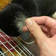 ヒメ日記 2025/09/23 18:23 投稿 ゆみこ 千葉人妻花壇