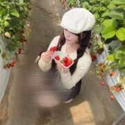 ヒメ日記 2025/04/23 17:01 投稿 そらん ドンファン