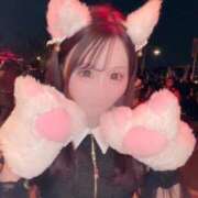 ヒメ日記 2025/10/30 11:49 投稿 そらん ドンファン