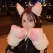 ヒメ日記 2025/10/31 19:02 投稿 そらん ドンファン