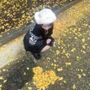 ヒメ日記 2025/11/26 09:02 投稿 そらん ドンファン