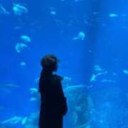 ヒメ日記 2025/11/27 21:00 投稿 そらん ドンファン