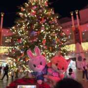 ヒメ日記 2025/12/11 12:03 投稿 そらん ドンファン