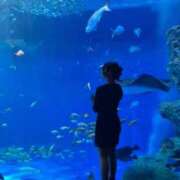 ヒメ日記 2026/01/27 09:01 投稿 そらん ドンファン