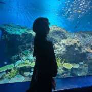 そらん 駆け込みせ♡くす ドンファン