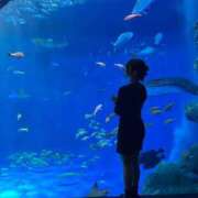 ヒメ日記 2026/03/06 20:01 投稿 そらん ドンファン