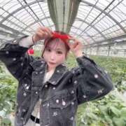 ヒメ日記 2026/03/28 09:02 投稿 そらん ドンファン