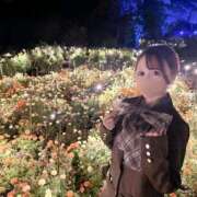 ヒメ日記 2025/11/10 09:15 投稿 そらん ヌーベル・マリエ