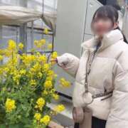 ヒメ日記 2025/03/10 09:02 投稿 みき 池袋マリン本店