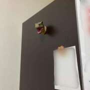 ヒメ日記 2025/03/10 21:01 投稿 みき 池袋マリン本店