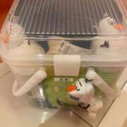 ヒメ日記 2025/05/21 23:56 投稿 みき 池袋マリン本店