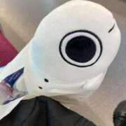 ヒメ日記 2025/05/31 20:07 投稿 みき 池袋マリン本店