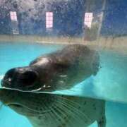 ヒメ日記 2025/06/13 05:16 投稿 みき 池袋マリン本店