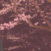 ヒメ日記 2025/04/05 20:16 投稿 こゆき マリンマリン