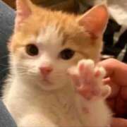 ヒメ日記 2025/05/09 21:54 投稿 こゆき マリンマリン