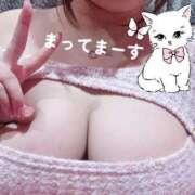 ヒメ日記 2025/07/12 16:24 投稿 こゆき マリンマリン