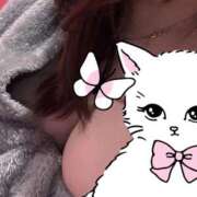 ヒメ日記 2025/11/19 19:34 投稿 こゆき マリンマリン