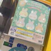 ヒメ日記 2025/12/03 00:21 投稿 こゆき マリン熊本本店