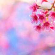 ヒメ日記 2025/04/30 18:45 投稿 はずき 佐世保人妻デリヘル「デリ夫人」