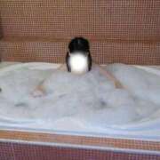 ヒメ日記 2026/04/03 17:57 投稿 こはる☆可愛いスタイル抜群Ｍ潮吹 PREMIUM萌え可愛いチョコレート～全てのステージで感動の体験を～