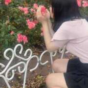 ヒメ日記 2026/09/26 20:00 投稿 こはる☆可愛いスタイル抜群Ｍ潮吹 PREMIUM萌え可愛いチョコレート～全てのステージで感動の体験を～