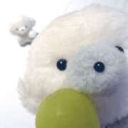 ヒメ日記 2025/10/11 11:46 投稿 なつき 彼女の部屋本店