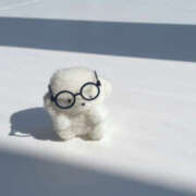 ヒメ日記 2025/10/14 14:49 投稿 なつき 彼女の部屋本店