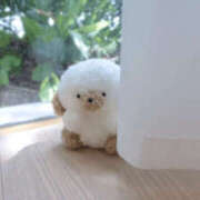 ヒメ日記 2025/10/25 12:03 投稿 なつき 彼女の部屋本店