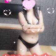 ヒメ日記 2025/02/18 15:00 投稿 ゆき 山口周南ちゃんこ