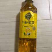 ヒメ日記 2025/02/19 19:25 投稿 ゆき 山口周南ちゃんこ